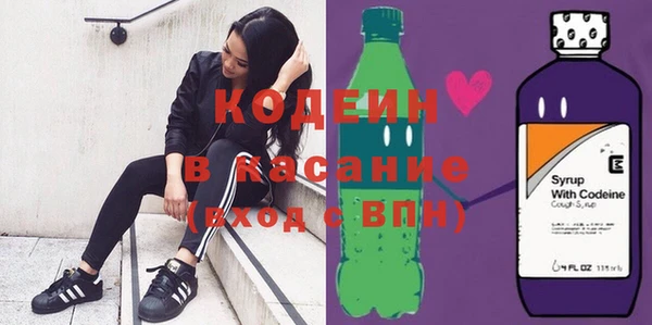 шишки Аркадак