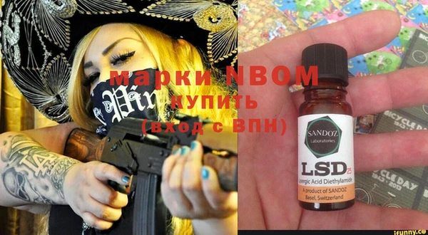 шишки Аркадак