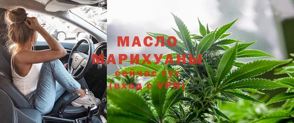 шишки Аркадак