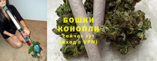 шишки Аркадак