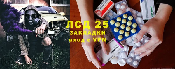 шишки Аркадак