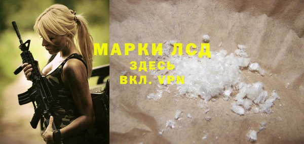 шишки Аркадак