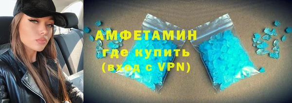 шишки Аркадак
