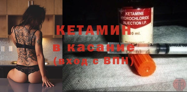 шишки Аркадак
