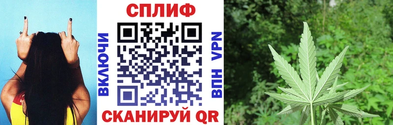 Купить где  Суджа  Шишки марихуана OG Kush 
